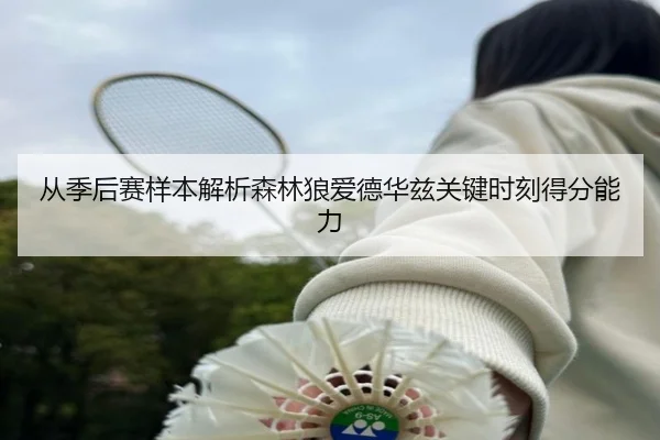 从季后赛样本解析森林狼爱德华兹关键时刻得分能力