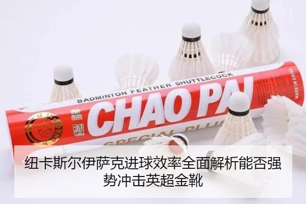 纽卡斯尔伊萨克进球效率全面解析能否强势冲击英超金靴
